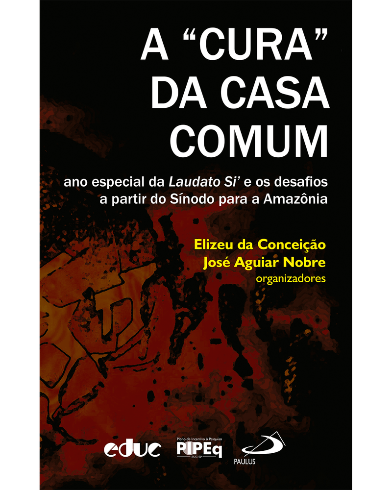 a-cura-da-casa-comum-ano-especial-da-laudato-si-e-os-desafios-a-partir-do-sinodo-para-a-amazonia-Main