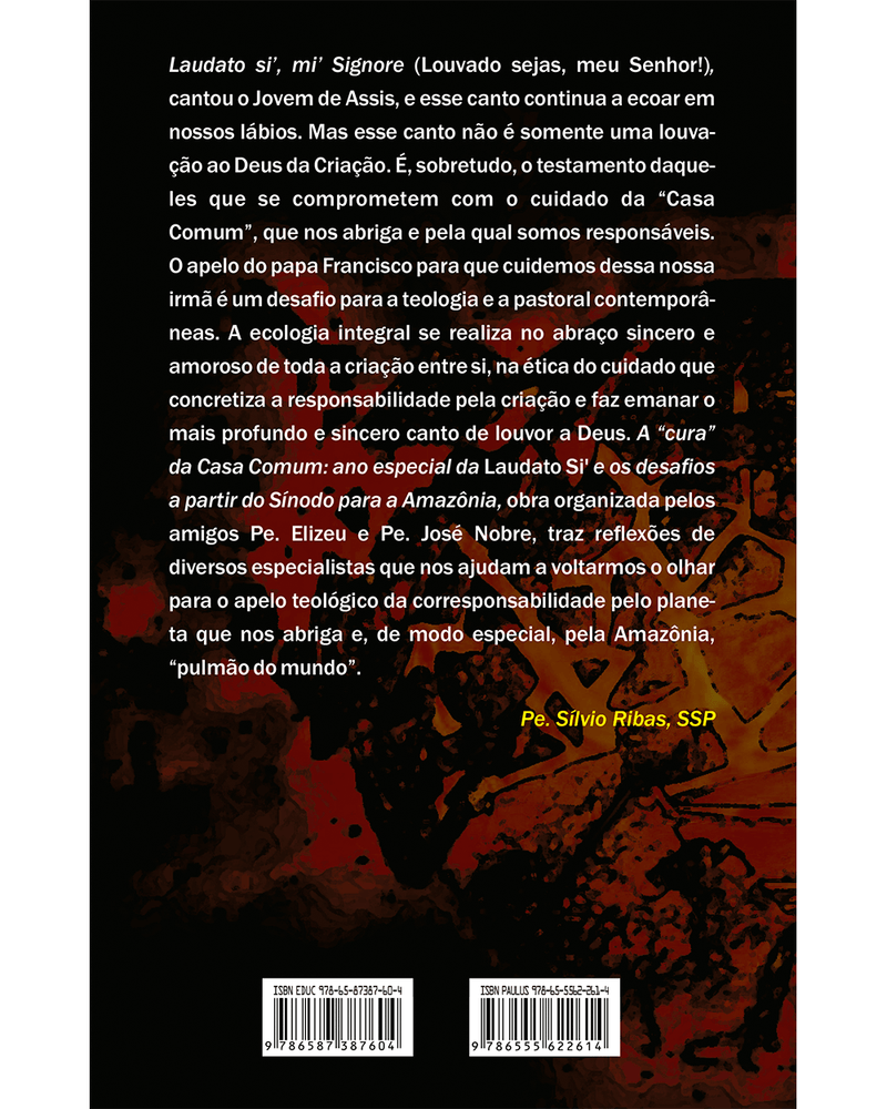 a-cura-da-casa-comum-ano-especial-da-laudato-si-e-os-desafios-a-partir-do-sinodo-para-a-amazonia-Sec