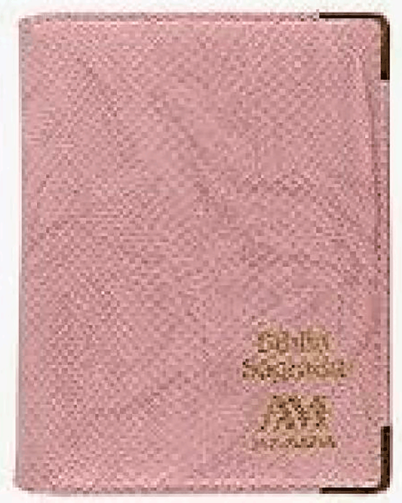 biblia-sagrada-am-almofada-rosa-bolso-Main