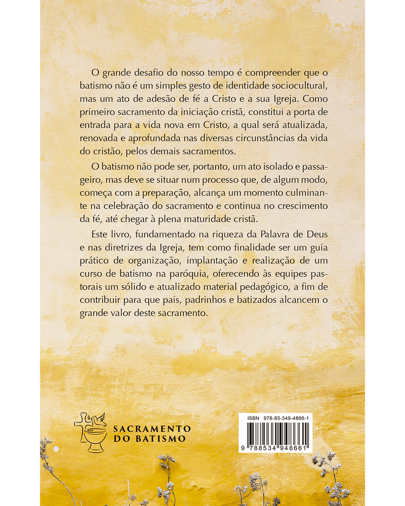 encontro-de-formacao-para-pais-e-padrinhos-de-batismo-guia-pratico-de-organizacao-e-realizacao-Sec
