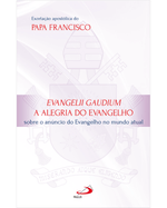 exortacao-apostolica-evangelii-gaudium-a-alegria-do-evangelho-Main