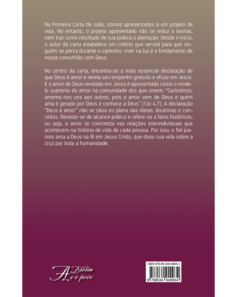 primeira-carta-de-joao-quem-ama-permanece-em-deus-Sec