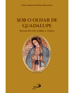 sob-o-olhar-de-guadalupe-sinais-do-ceu-sobre-a-terra-Main