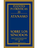 sobre-los-sinodos-Main