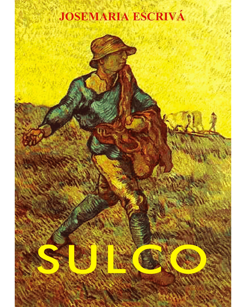 sulco-Main