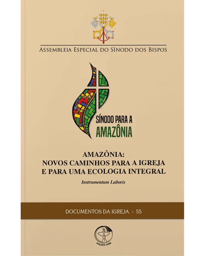 amazonia-documento-58-novos-caminhos-para-a-igreja-e-para-uma-ecologia-integral