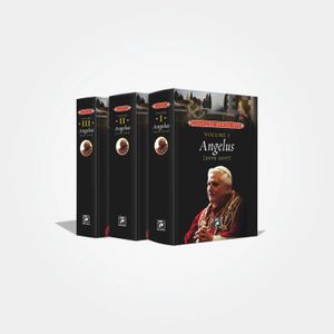 Box: Angelus do Papa Bento XVI