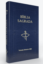 Captura-de-tela-2025-07-28-134047