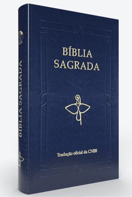 Captura-de-tela-2025-07-28-134047